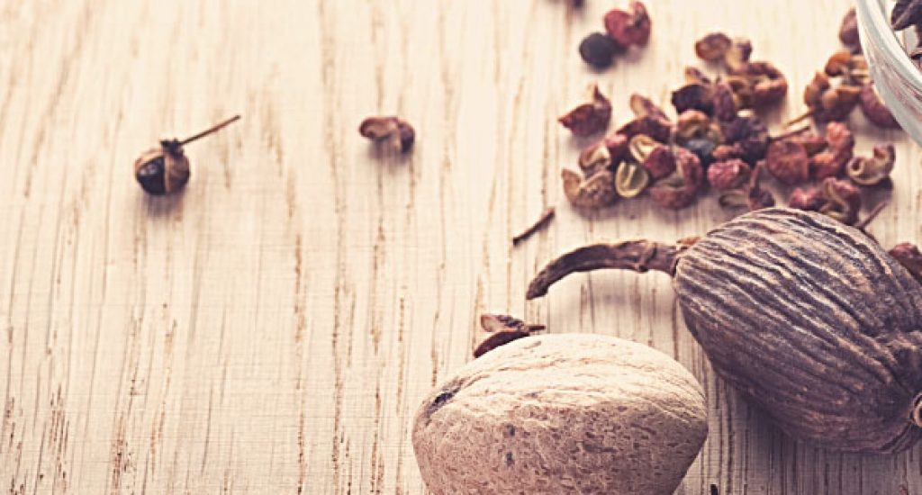 סדנת-בישול2